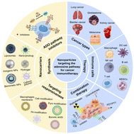 Graphical abstract: Nanoparticles targeting the adenosine pathway for cancer immunotherapy