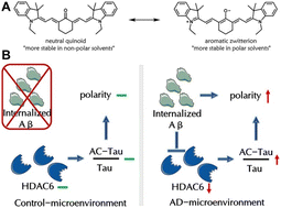 Graphical abstract: A ratiometric fluorescent probe revealing the abnormality of acetylated tau by visualizing polarity in Alzheimer's disease