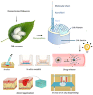 Graphical abstract: Expanding the boundaries of silk sericin biomaterials in biomedical applications