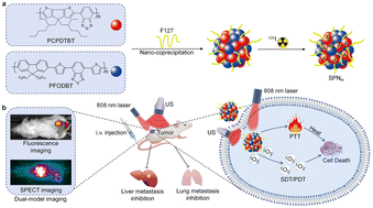 Graphical abstract: Radioactive hybrid semiconducting polymer nanoparticles for imaging-guided tri-modal therapy of breast cancer