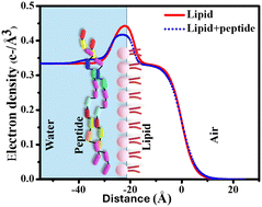 Graphical abstract: Selective assembly and insertion of ubiquicidin antimicrobial peptide in lipid monolayers