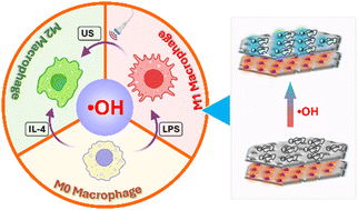 Graphical abstract: A responsive nanoprobe for ratiometric florescence detection of hydroxyl radicals in macrophage polarization