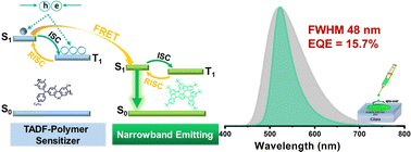 Graphical abstract: Efficient solution-processed narrowband green-emitting organic light emitting diodes sensitized by a thermally activated delayed fluorescence polymer