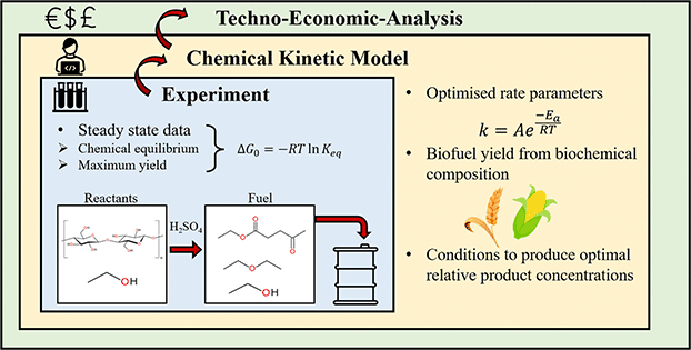 Graphical abstract: Steady states and kinetic modelling of the acid-catalysed ethanolysis of glucose, cellulose, and corn cob to ethyl levulinate