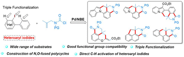 Graphical abstract: Palladium/norbornene cooperative catalysis triple functionalization: carbamoylation/double-annulation of (hetero)aryl iodides