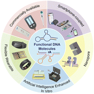 Graphical abstract: Molecular engineering of functional DNA molecules toward point-of-care diagnostic devices