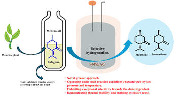 Graphical abstract: Interfacially modified Si–Pd/carbon catalyst for selective pulegone (C [[double bond, length as m-dash]] C bond) hydrogenation to menthone-isomenthone