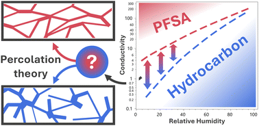 Graphical abstract: Understanding the hydrocarbon – PFSA ionomer conductivity gap in hydrogen fuel cells