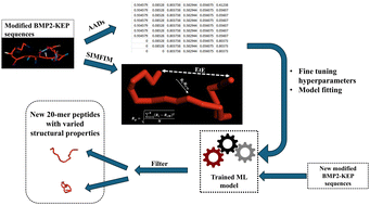Graphical abstract: Machine learning models for predicting configuration of modified knuckle epitope peptides of BMP-2 protein using mesoscale simulation data