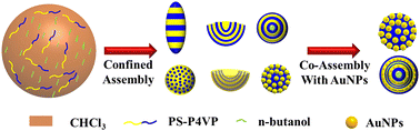 Graphical abstract: n-Butanol induced structural transformation of block copolymers