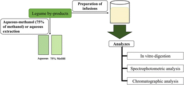 Graphical abstract: Valorization of legume by-products in functional formulations: phytochemicals and their simulated gastrointestinal fate