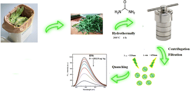 Graphical abstract: Sustainable agro-waste derived nitrogen-doped carbon dots for sensitive fluorescence detection of ethalfluralin residues in vegetables
