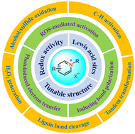 Graphical abstract: Photoredox catalysis with pyridinium and structurally related onium salts: sustainable synthesis via reactive oxygen species generation and electron transfer