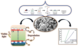 Graphical abstract: Mechanistic insights into the photocatalytic and electrocatalytic activities of MgNiO2: role of reactive oxygen species and oxygen vacancies