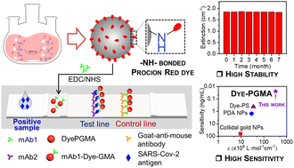 Graphical abstract: Procion red dye chemically bonded PGMA microspheres towards leakage free and sensitivity improved lateral flow immunoassay