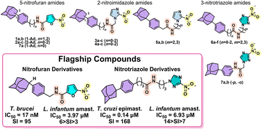 Graphical abstract: Synthesis and evaluation of nitroheterocyclic aromatic adamantane amides with trypanocidal activity. Part II