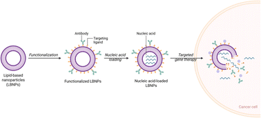 Graphical abstract: Antibody-functionalized lipid nanocarriers for RNA-based cancer gene therapy: advances and challenges in targeted delivery