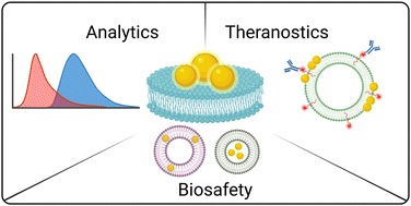 Graphical abstract: The gold nanoparticle–lipid membrane synergy for nanomedical applications