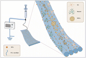Graphical abstract: “Cell climbing stones” – varying the surfaces of electrospun nanofibers with protrusions as secondary structures to manipulate neural cell behaviors