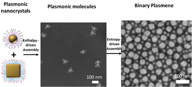 Graphical abstract: Plasmene nanosheets assembled from “plasmonic molecules”