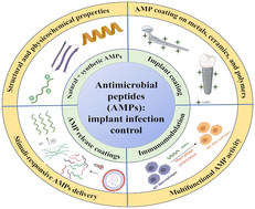 Graphical abstract: Antimicrobial peptides and their application to combat implant-associated infections – opportunities and challenges