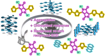 Graphical abstract: Chiral diketopyrrolo[3,4-c]pyrrole dyes with different substitution symmetry: impact of adamantyl groups on the photo-physical properties in solution and thin films