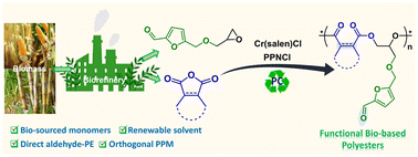 Graphical abstract: Renewable hydroxymethylfurfural epoxide and cyclic anhydride copolymerization: a green route to functional biobased polyesters