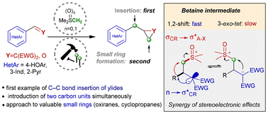 Graphical abstract: New mode of sulfur ylides reactivity: stereoelectronic control provides C–C bond insertion before cyclopropanation/epoxidation directly affording homologated three-membered rings