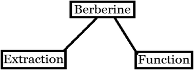 Graphical abstract: A comprehensive review of recent advances in the extraction and therapeutic potential of berberine