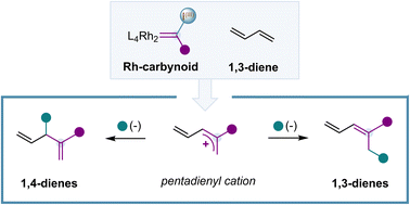 Graphical abstract: Rh-catalysed single-carbon insertion to 1,3-dienes
