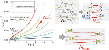 Graphical abstract: Coarse-grained molecular dynamics simulations of slide-ring gels under finite deformation: influence of sliding ring rearrangement on softness and extensibility