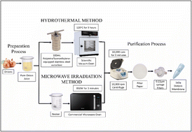 Graphical abstract: Green conversion of a soft commodity into visible light-activated N–S doped carbon quantum dots with antibacterial properties