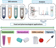 Graphical abstract: Sustainable extraction of phytochemicals from agricultural and food by-products using eutectic solvents and their integration into functional materials