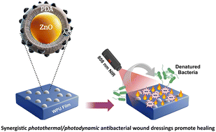 Graphical abstract: Synergistic photothermal and photodynamic therapy to promote bacteria-infected wound healing using ZnO@PDA/Ag-integrated waterborne polyurethane films