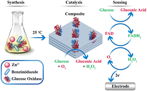 Graphical abstract: Glucose oxidase immobilized on ZIF-7-III: composite formation, optimization and integration in an electrochemical biosensor for selective glucose detection