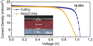 Graphical abstract: Solution-processed CuBO2 hole transport layers for stable p–i–n perovskite solar cells