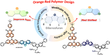 Graphical abstract: Backbone modulation of thermally activated delayed fluorescence polymers for efficient orange-red emission in solution-processed OLEDs