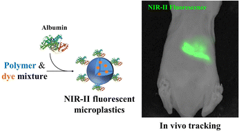 Graphical abstract: Synthesis of near-infrared-fluorophore-loaded microplastics with different compositions for in vivo tracking