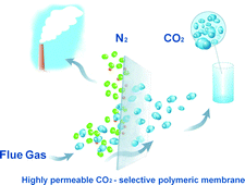 Graphical abstract: Advances in high permeability polymeric membrane materials for CO2 separations