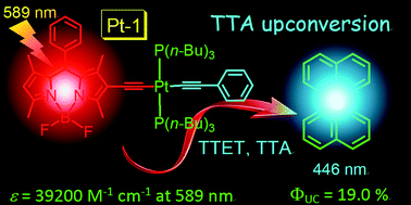 Graphical abstract: Red-light excitable fluorescent platinum(ii) bis(aryleneethynylene) bis(trialkylphosphine) complexes showing long-lived triplet excited states as triplet photosensitizers for triplet–triplet annihilation upconversion