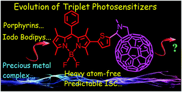 Graphical abstract: Triplet photosensitizers: from molecular design to applications