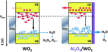 Graphical abstract: Promoting water photooxidation on transparent WO3 thin films using an alumina overlayer