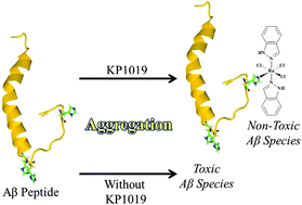 Graphical abstract: Modulation of the Aβ peptide aggregation pathway by KP1019 limits Aβ-associated neurotoxicity