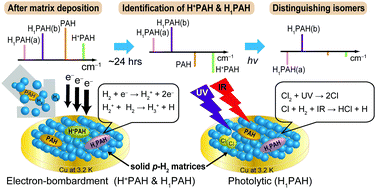 Graphical abstract: Spectroscopy of prospective interstellar ions and radicals isolated in para-hydrogen matrices