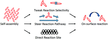 Graphical abstract: Steering on-surface reactions with self-assembly strategy