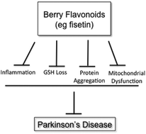 Graphical abstract: Protective effects of fisetin and other berry flavonoids in Parkinson's disease
