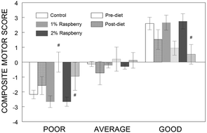 Graphical abstract: Raspberry differentially improves age-related declines in psychomotor function dependent on baseline motor ability
