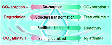 Graphical abstract: Perspectives on water-facilitated CO2 capture materials
