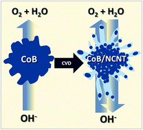 Graphical abstract: Cobalt boride modified with N-doped carbon nanotubes as a high-performance bifunctional oxygen electrocatalyst