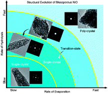 Graphical abstract: Unconventional mesoporous single crystalline NiO by synergistically controlled evaporation and hydrolysis